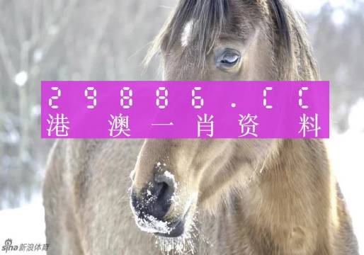 不锈钢螺旋网带 第398页