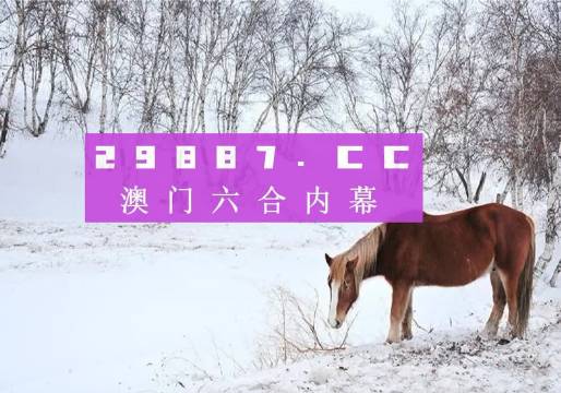 澳门4949免费精准,互动性策略设计_LDD58.930数字处理版
