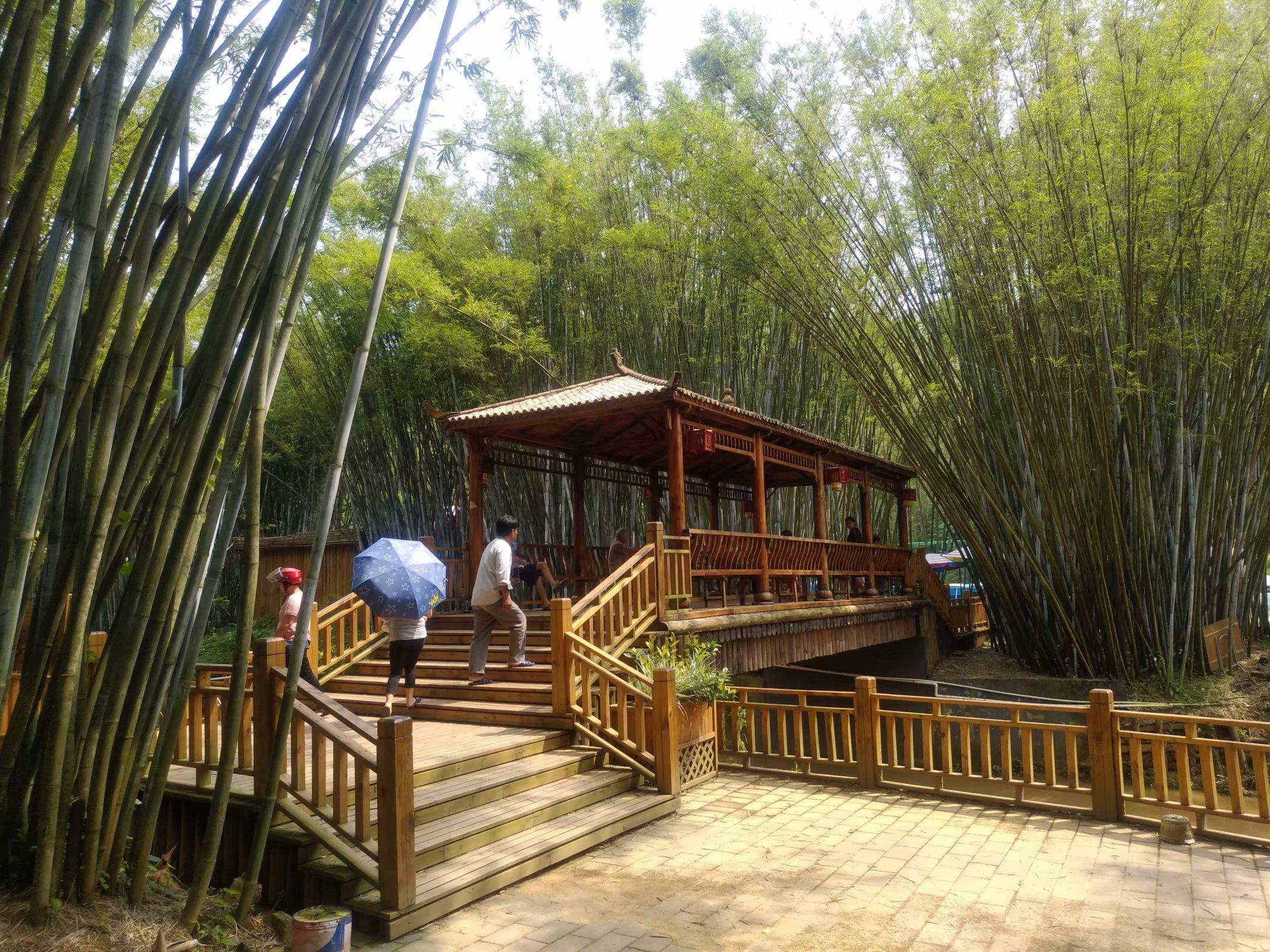 最新魅力中国城名单公布，探寻自然美景之旅启程心灵宁静之地