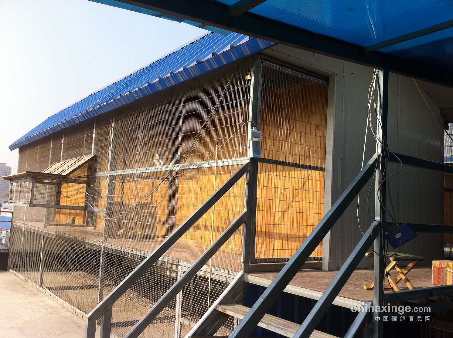 楼顶鸽棚搭建新图，空间利用与人禽共生的思辨