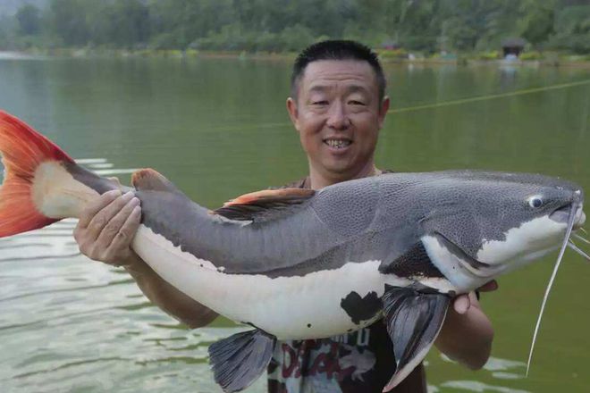 烘干机网带 第326页