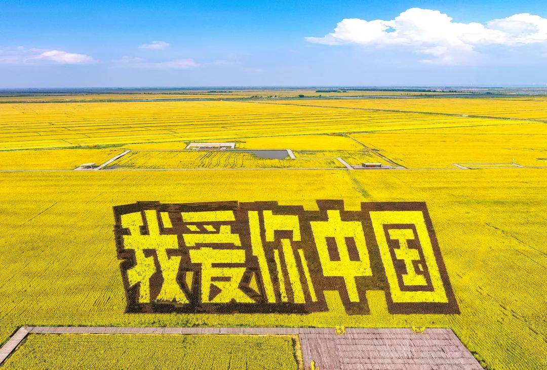 盘锦疫情最新动态，自然美景探索之旅寻求内心平和与宁静