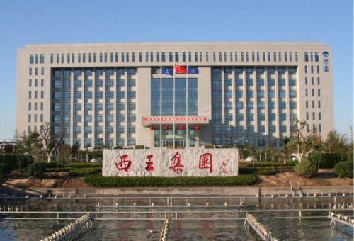 滨州最新招聘信息及职业发展黄金机会探寻