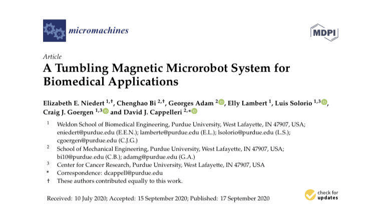 澳门精准四肖期期中特公开,释意性描述解_ZWD50.287拍照版