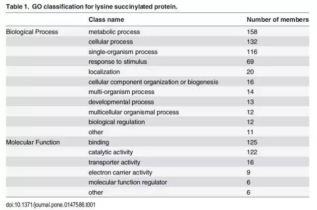 新澳天天开奖资料大全正版,精细化方案决策_INM50.550百搭版