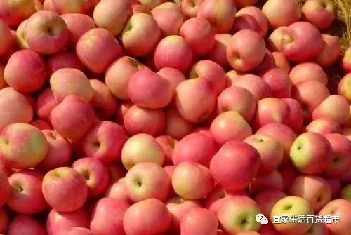 山西富士苹果最新价格指南，了解最新价格信息