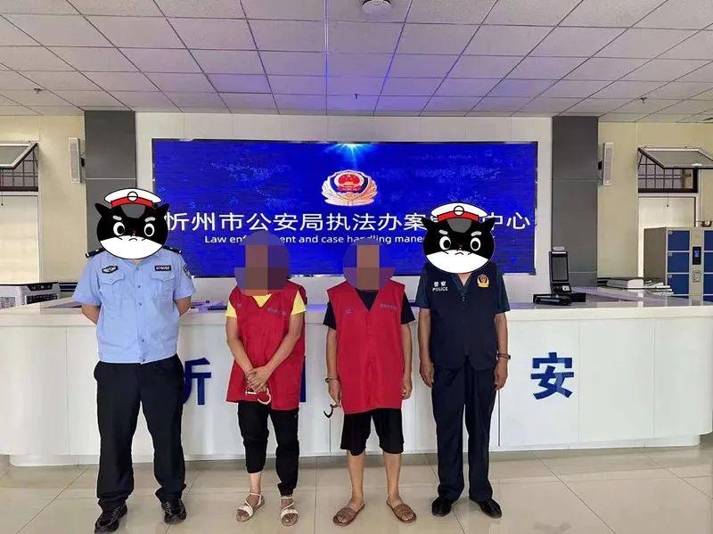 忻州廉租房最新动态，自然美景探索之旅开启