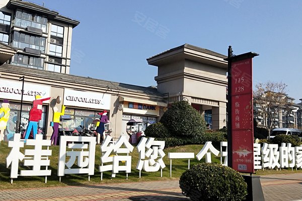 庐江碧桂园最新动态更新,最新进展与资讯汇总