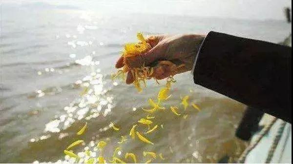 关于生死尊严的探讨,最新殡葬法解读与探讨(2015年)