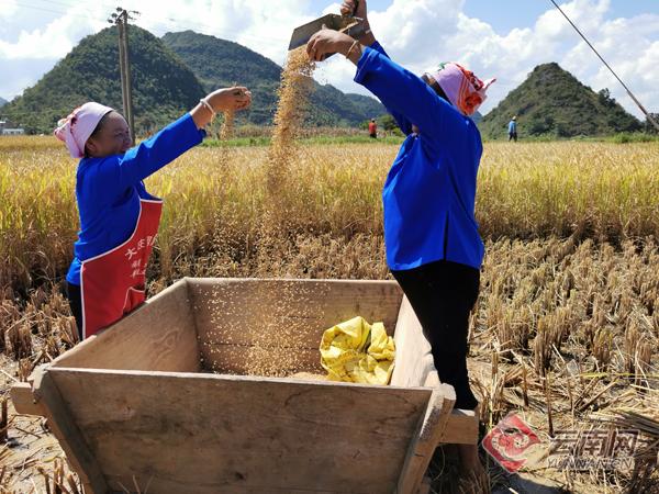 不锈钢金属网带 第449页