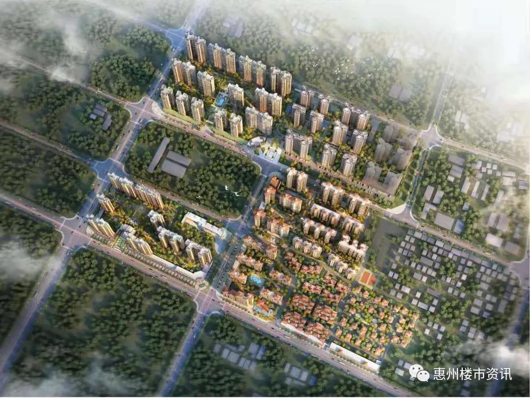 惠州石湾楼盘最新动态更新，全面解析楼盘信息