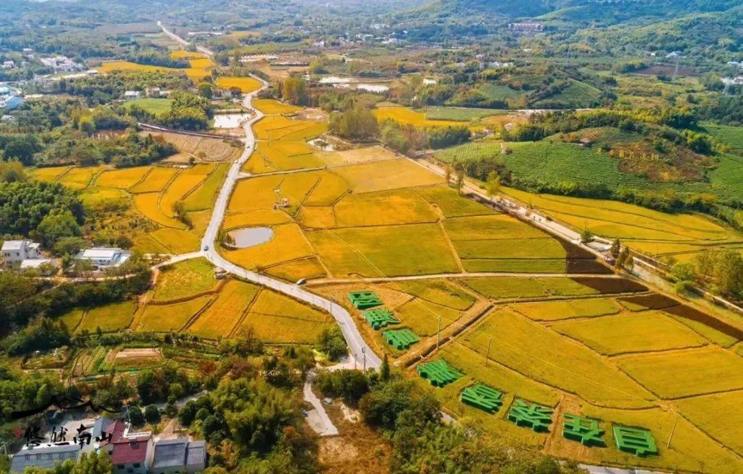 不锈钢螺旋网带 第447页