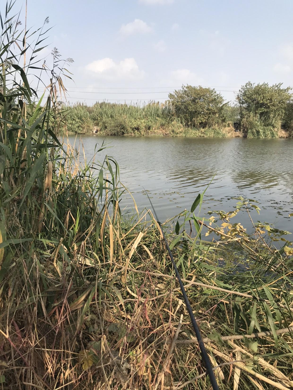 周口沙河垂钓盛宴开启，最新钓鱼消息一网打尽！