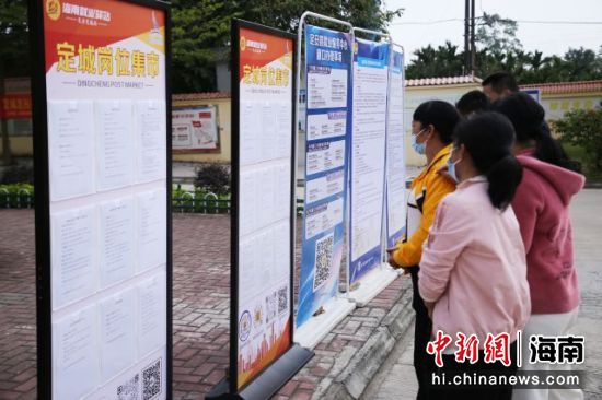 定安最新招聘信息,家的温馨故事与求职者的新起点