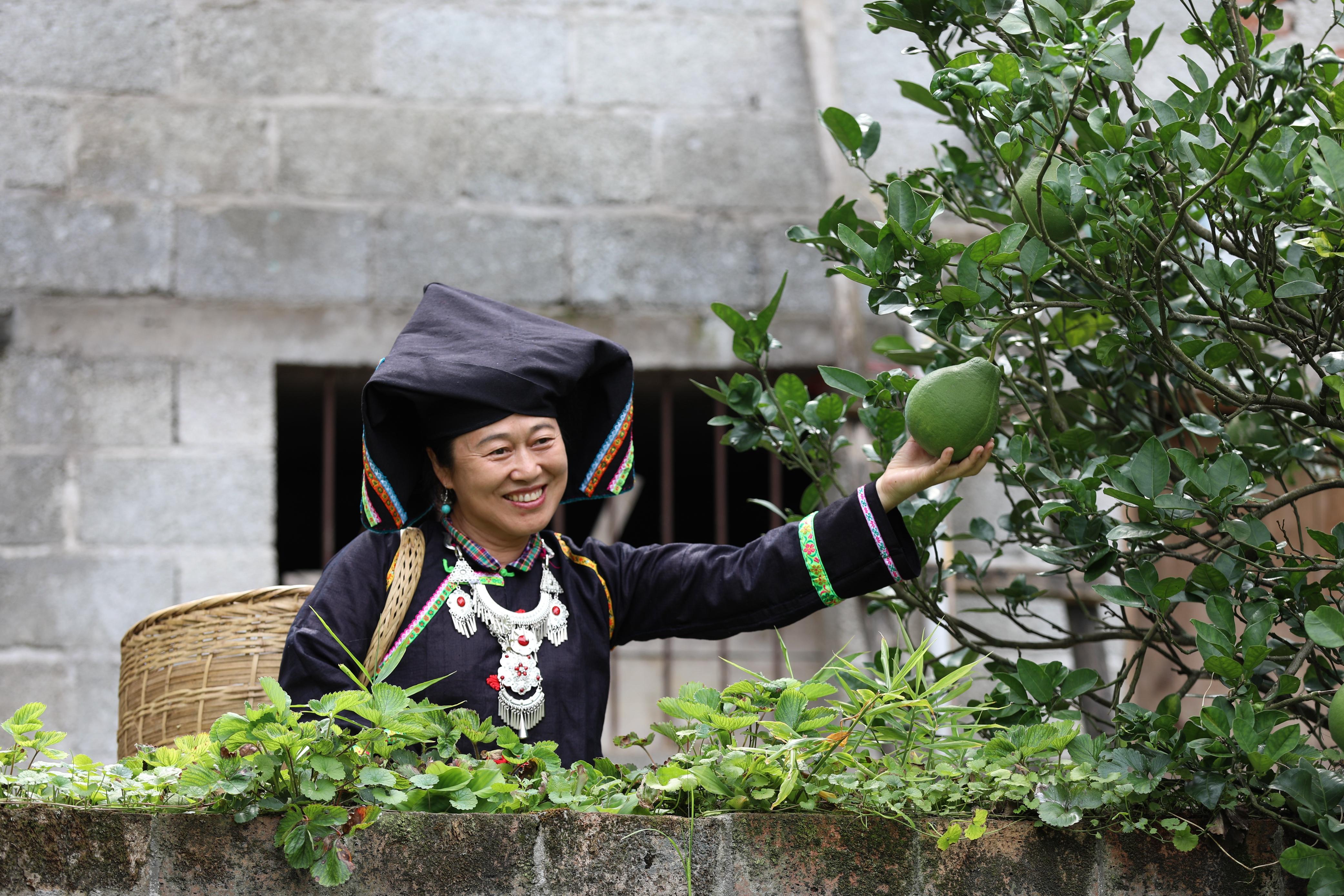 2016那坡最新山歌，日常趣事中的旋律