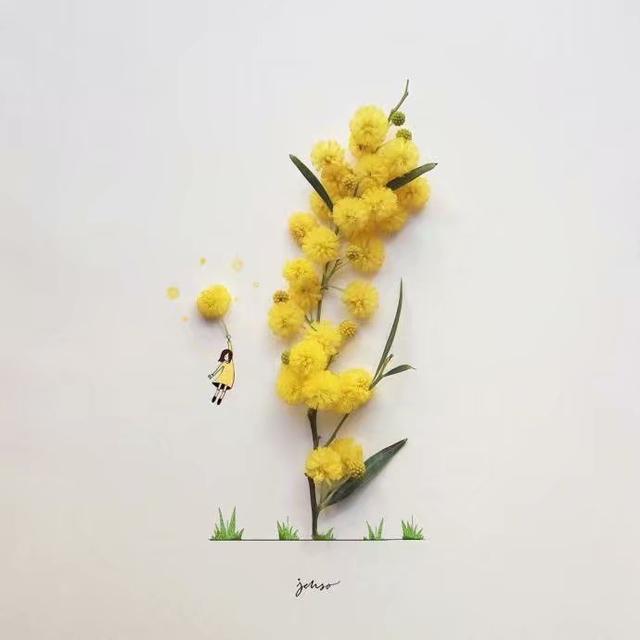 8005最新收藏分析,探秘小巷中的宝藏——8005最新收藏分析