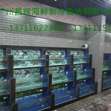 广州海鲜池招聘热潮，探寻职业新机遇