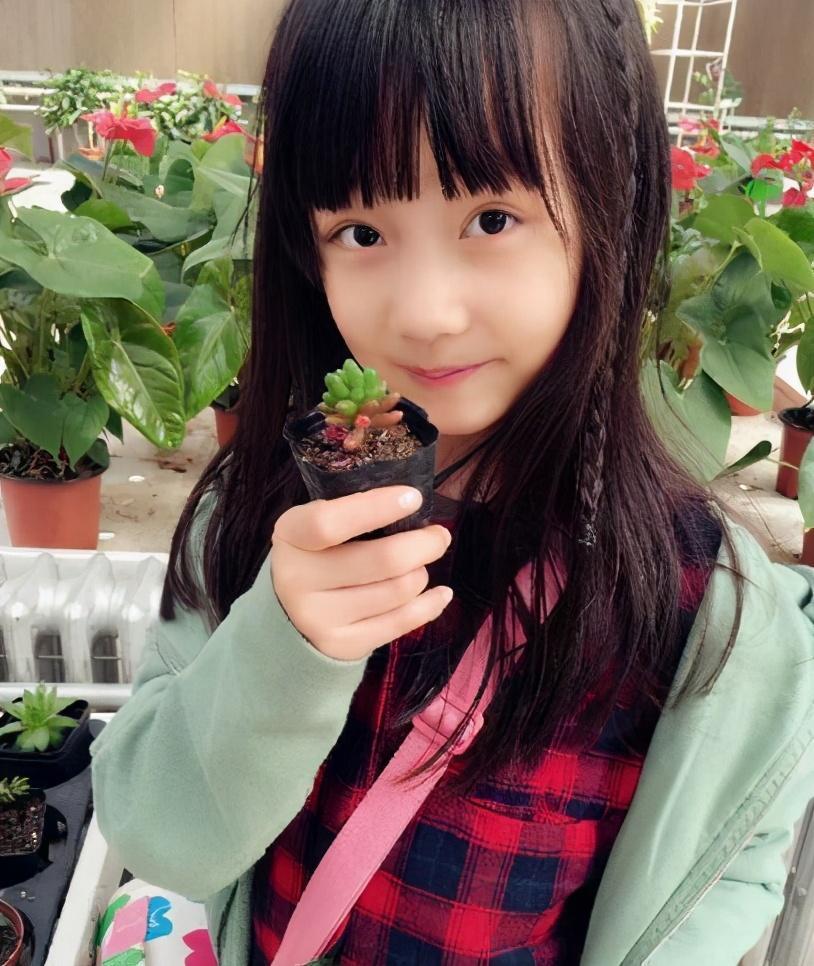 纪姿含最新自然探索照片，轻松领略自然美景的魅力之旅