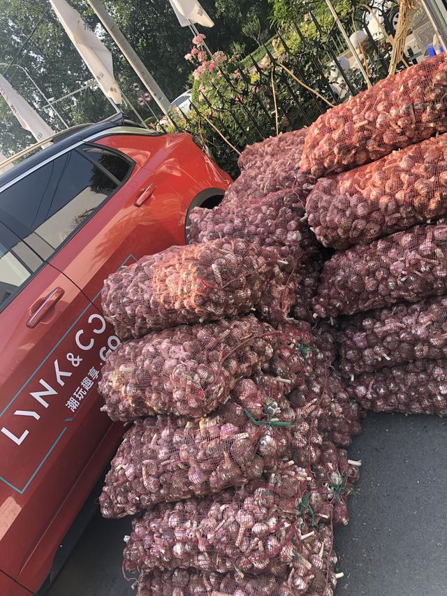 中牟晚熟大蒜最新价格,中牟晚熟大蒜最新价格探析，市场走势与个人立场