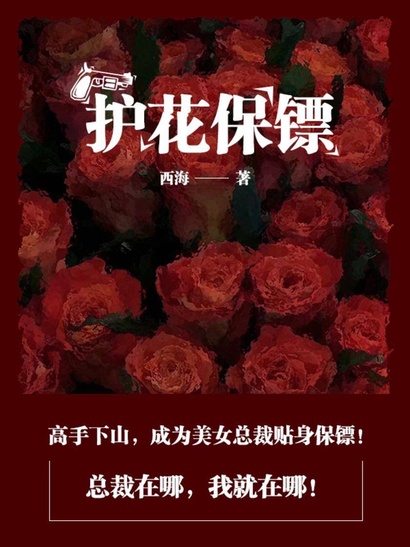 护花保镖最新章节揭秘,背景、事件与地位全解析