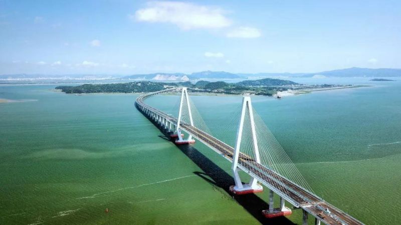 乐清湾大桥最新进展2024，桥上奇遇与深厚友情的见证