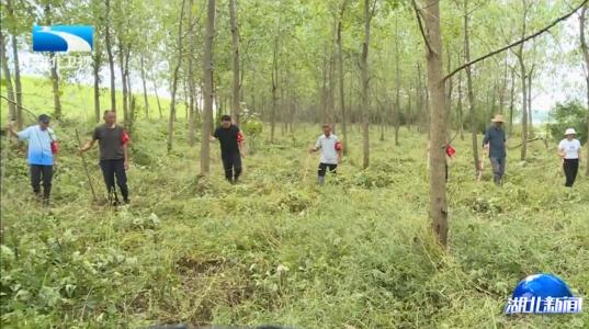 不锈钢螺旋网带 第439页