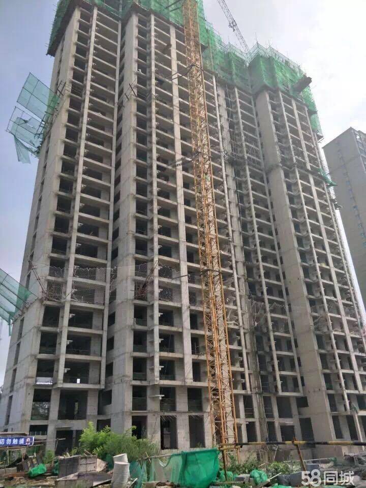 不锈钢金属网带 第379页