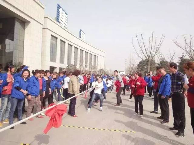 泗阳晨风集团最新招聘动态发布