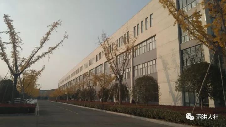 泗阳晨风集团最新招聘动态发布