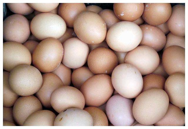 全国鸡蛋每日最新价格变化,学习成就之路的自信源泉