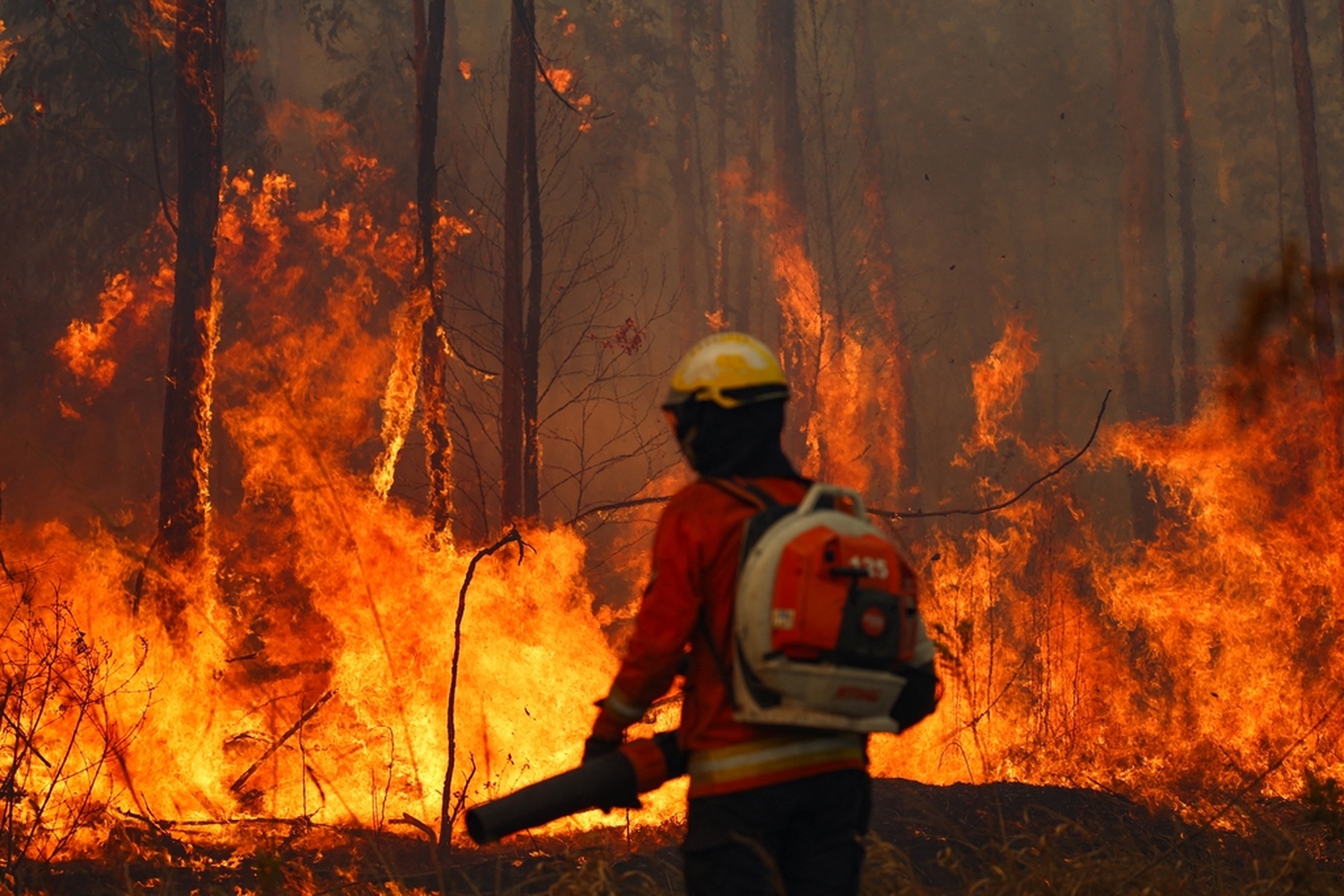 2024年烤火费最新指南，步骤与费用详解