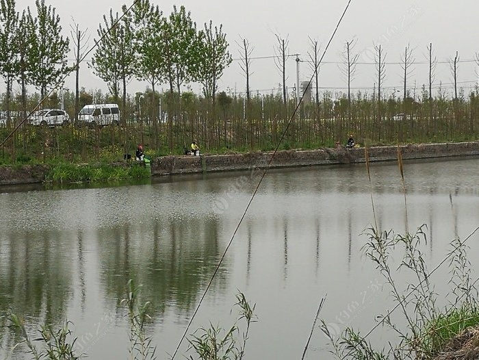 如皋最新野钓点，科技与自然交融的前沿体验之旅