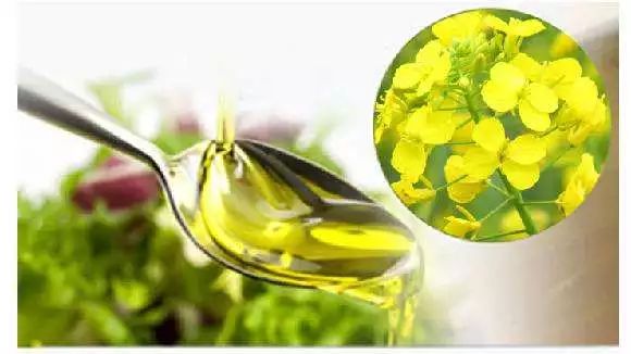 菜籽油最新国标,标准变革与产业成长之路