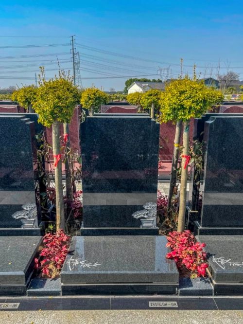 松鹤墓地最新价格，与自然美景的邂逅之旅