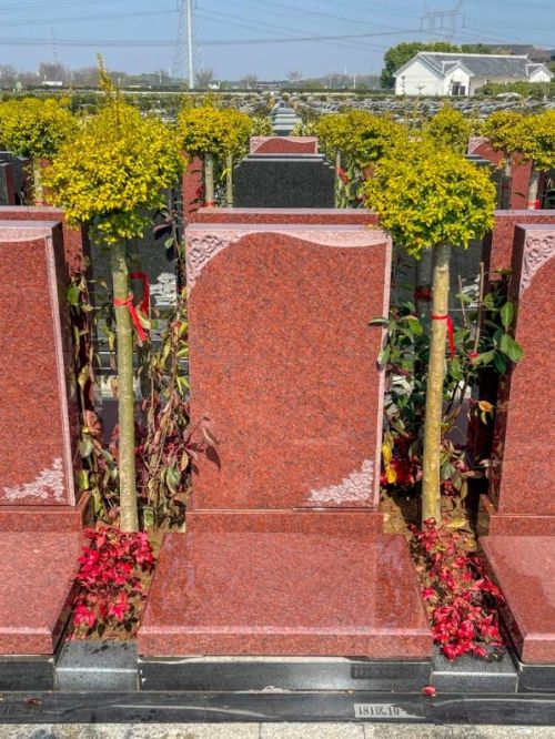 松鹤墓地最新价格,与自然美景的邂逅之旅