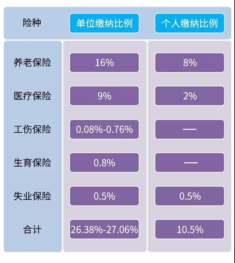 南京社保缴费基数更新，全面解读最新标准