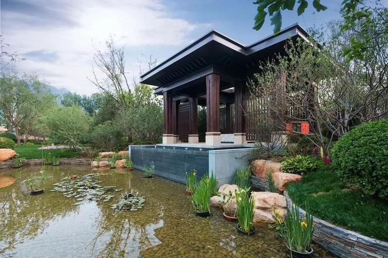 石铜府最新动态揭秘，历史见证下的辉煌成就