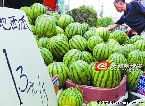 西安西瓜价格最新动态
