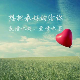 最新语录2024，美与智慧的探索之旅