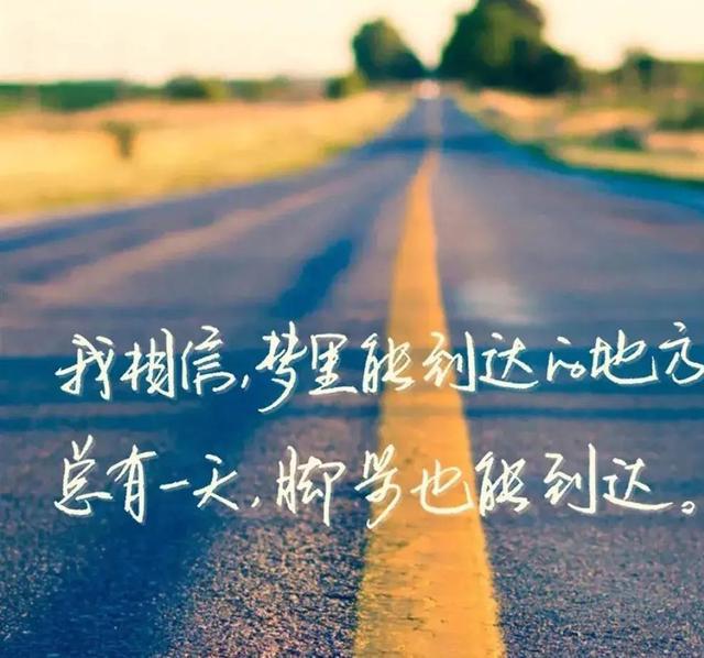 最新语录2024,美与智慧的探索之旅