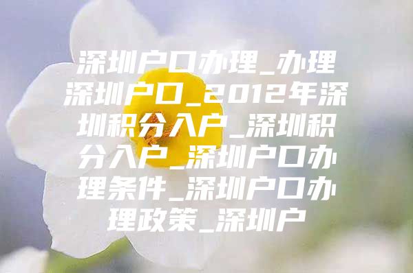 深圳最新户口政策，追梦之旅启程，无限可能等你来成就！