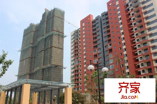 锦绣姜城最新动态揭秘,科技重塑未来智能生活体验