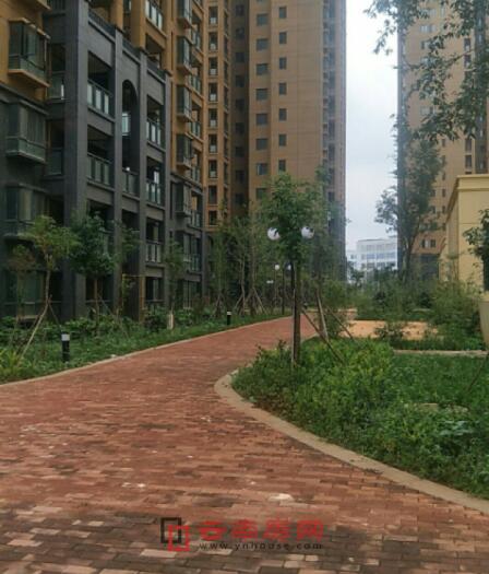 昆明优活城最新动态更新