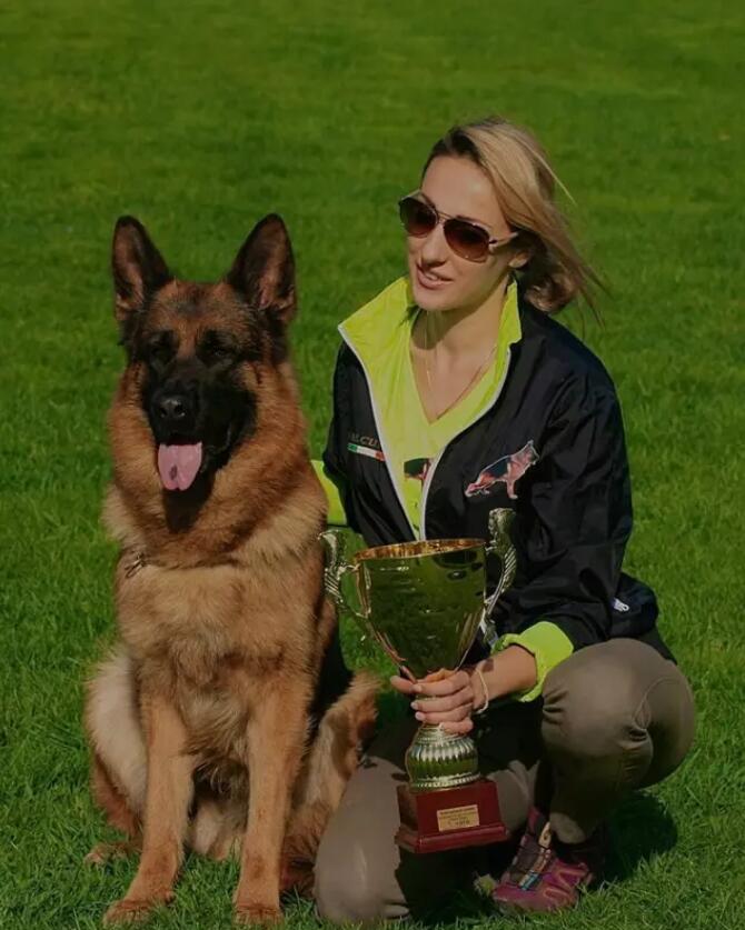 最新赛级德牧冠军荣耀揭晓,英雄时刻揭秘🏆