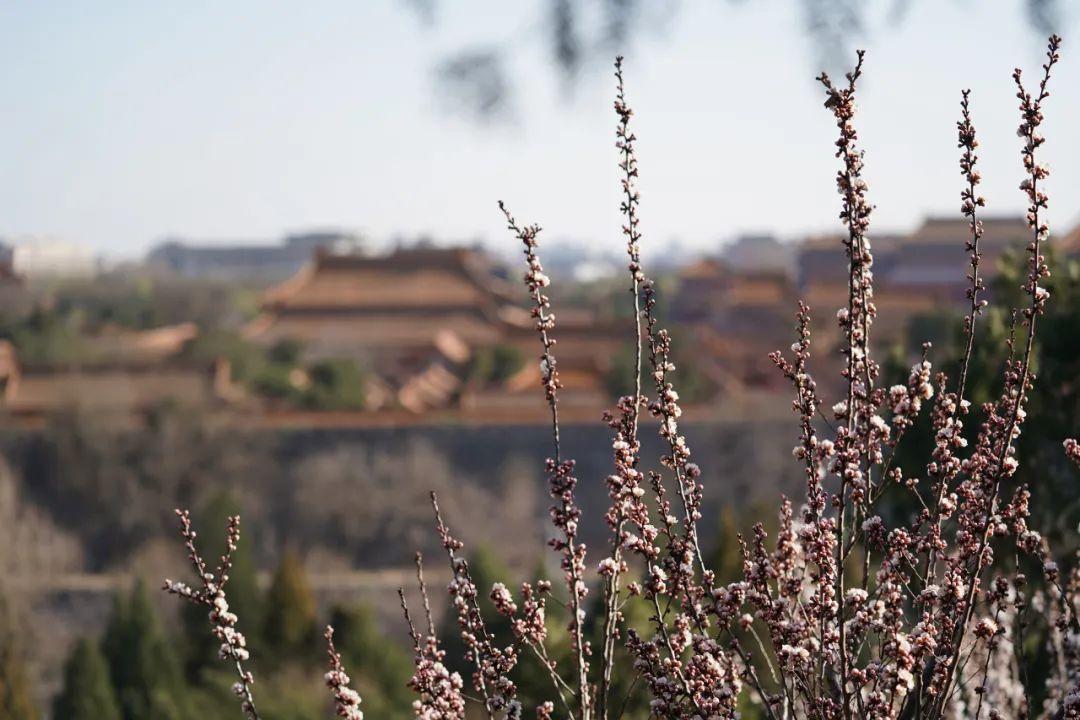 天天来战2最新消息,天天来战2最新消息，游戏进阶攻略与技能提升指南