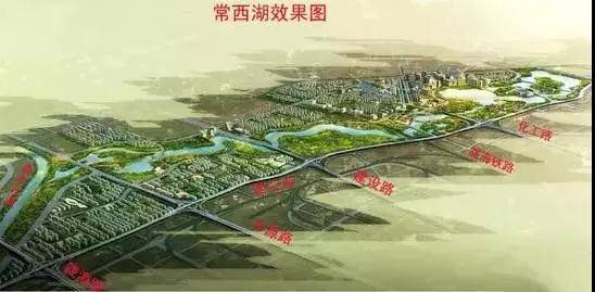 郑州市中原区最新规划深度解析，观点阐述与分析
