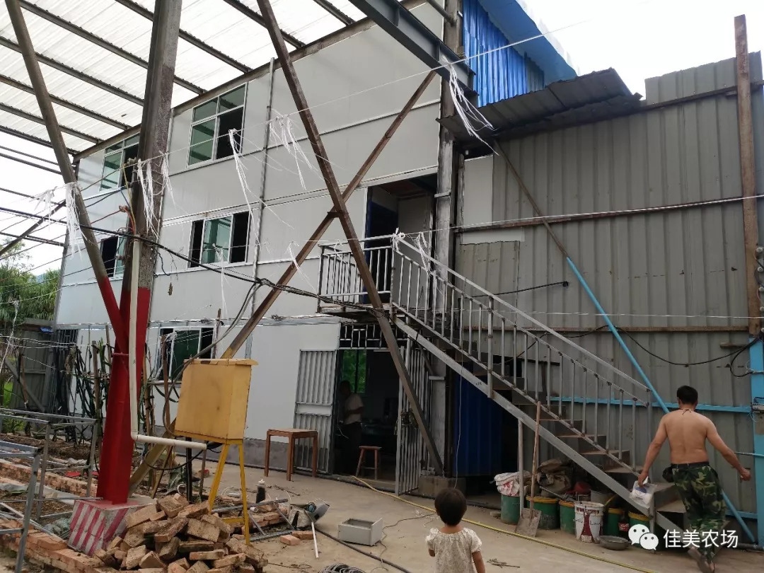 四川惠远农牧最新动态，时代先锋引领农牧业蓬勃发展