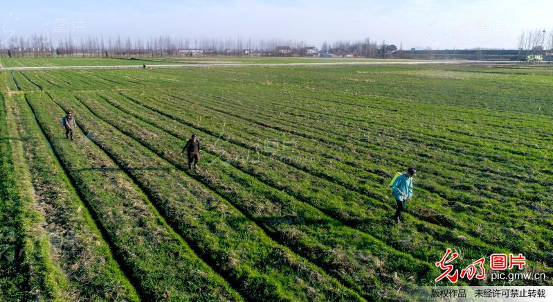 庐江县郭河镇，日常趣事与温馨画卷的爱与陪伴