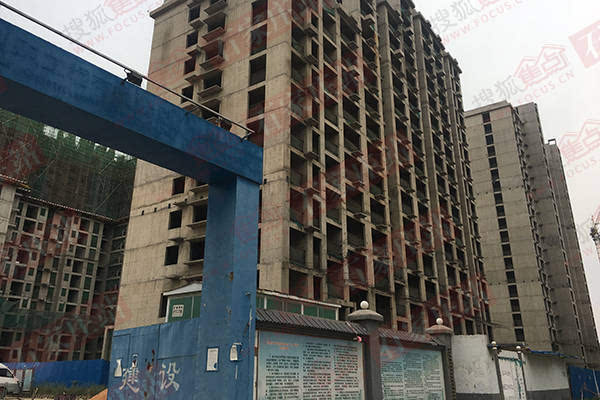 石家庄自在城最新动态，追梦不止，自在人生开启