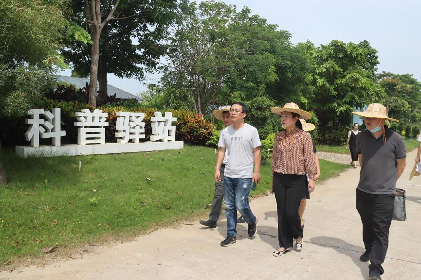 湛江麻章最新招聘动态，学习变化，成就未来职场之路